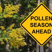 Check the pollen count forecast in the Bradford district before you head out this week