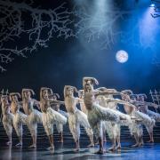 New Adventures' show Swan Lake, reimagined for a new tour. Picture: Johan Persson