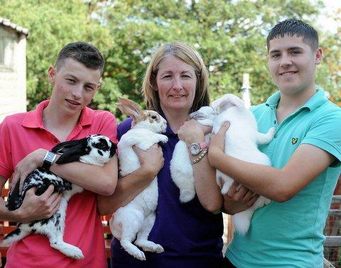 The owner of a rabbit sanctuary has been inundated with unwanted pets due to the recession. 