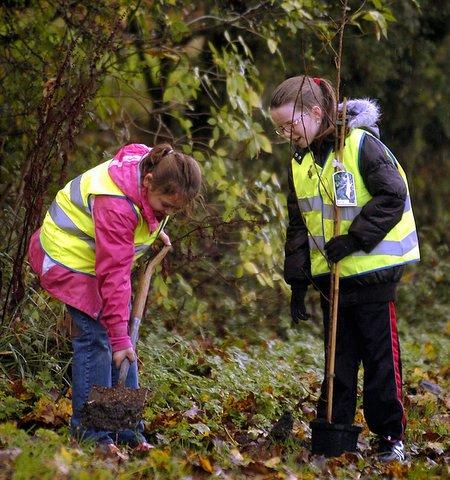 Children in Holmewood planted trees in a newly-developed natural play area. Youngsters at nearby Knowleswood Primary School dug in to plant the trees at The Valley, which was finished earlier this year. It was the final stage in developing the play area.