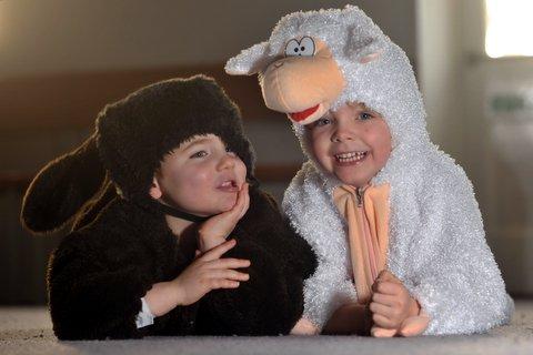 Appearing in Trinity All Saints Primary School Nativity were cheeky farm animals Benjamin Jessop as the donkey and Kaitlin Williams as the sheep.