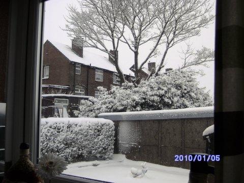 Mrs P Briggs, of Hillcrest Road, Denholme, took this from her kitchen window just after snow had stopped.
