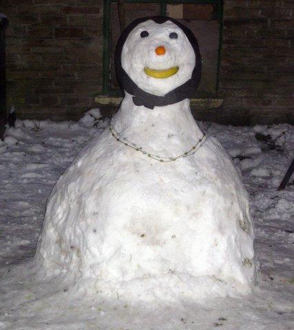 This is our snowgranny
made by Shifa Ahmed, 5 years old, and Haris Ahmed, 7 years old.