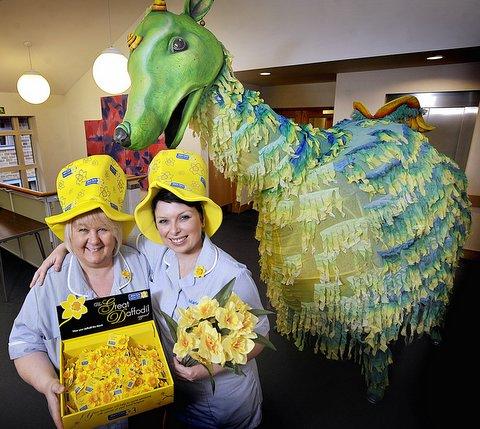 Walkabout Creature Veronica of Thingumajig Theatre helped paint the Marie Curie Hospice Bradford yellow as Marie Curie Cancer Care unveiled its annual Great Daffodil Appeal, encourgaing veeryone to wear a daffodil pin.
