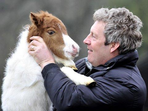 Visitors to a farm are being invited to name a baby Shetland pony which was unexpectedly brought into the world. 
Owner James Wainhouse is offering a free family ticket for two adults and two children to visit his farm park. 