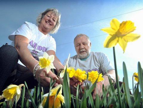 It’s blooming beautiful in Baildon this spring. 
The village is reaping the rewards of the work of Baildon In Bloom volunteers who planted hundreds of daffodil bulbs around the village as part of their Golden Daffodils For Spring promotion.