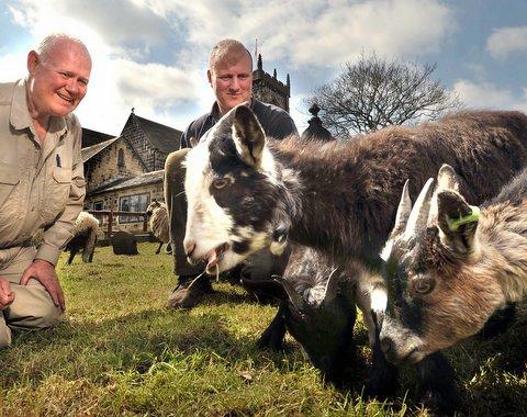 A church’s congregation has a new flock helping to maintain its grounds. 
Goats and sheep, on loan from a nearby farmer, are nibblng away in the grounds of St Wilfrid’s Church in Calverley to keep them looking well-cared-for. 