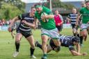 After South Africa's win over England in the World Cup final on Saturday, Matt Speres, who has South African roots, went on to have a good game for Wharfedale against Stourbridge. Picture: Ro Burridge