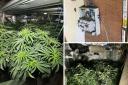Police found a cannabis farm at a house in Dennison Fold, Tyersal, Bradford