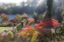 Autumn in the Garden at Powis Castle, Powys