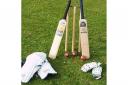 Cricket bats and stumps