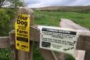Dog walkers asked to be responsible in the Forest of Bowland AONB