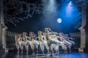 New Adventures' show Swan Lake, reimagined for a new tour. Picture: Johan Persson