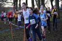 Action from the year six girls' race at the Bradford Schools Cross-Country Finals. Picture: Dave Woodhead
