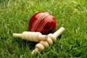 The Dales Council League hosted another weekend of thrilling cricket