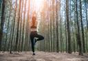 Beautiful Asian young woman standing and doing yoga in forest. Exercise and meditation concept. Pay obeisance or raise hand concept. Pine wood in summer theme. Back view.