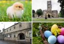 Free or cheap things to do in Bradford this Easter half term