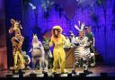 Madagascar the Musical follows best pals on a madcap escape from the zoo. Images: Stuart Glover