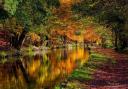 Canal waterway - Autumn - Leeds Liverpool; T&A CC R Mariusz Talarek