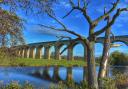 Arthington Viaduct, which Nick had only seen from afar before this shot