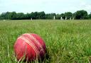 Cricket ball in the long grass.