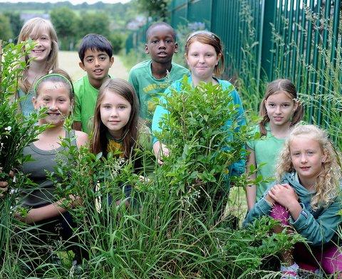 Youngsters at a school showed their green credentials at an eco day. 
Children at High Crags Primary School in Crag Road, Windhill, Shipley, swapped their uniforms for green clothing for a day dedicated to the environment. 
