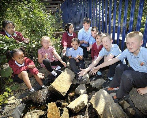 Schoolchildren have been left heartbroken after vandals threw rocks into their nature pond, killing about 50 tadpoles, in the latest in a series of attacks. 
The pond is at St Mary’s and St Peter’s Catholic Primary School, in Upper Nidd Street.