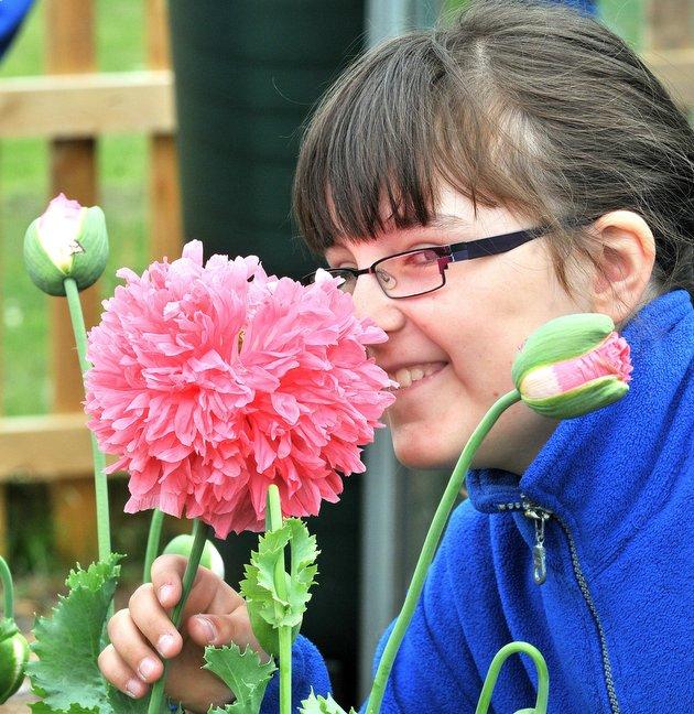 Yorkshire in Bloom judges made their summer visit to the Addingham, and on their list of places to visit was Addingham Primary School where pupils, including Isobel Tetley, grow their own vegetables, flowers and plants in the grounds of the school. 