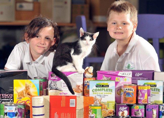 Youngsters at Cottingley Village Primary School have been collecting donations of bedding and cat food for a Bradford animal shelter. 
The pupils made Cat Rescue in Allerton their class charity and were visited by Brenda Satterley, who runs it.