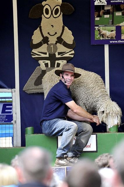 A sheep show entertains a crowd at the Bingley Show 2010