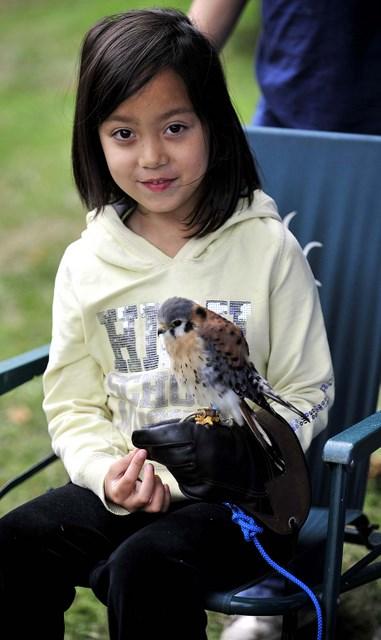 Leeloo Larcombe with a falcon that was on show at the SMJ Falconry display at Bingley Show 2010