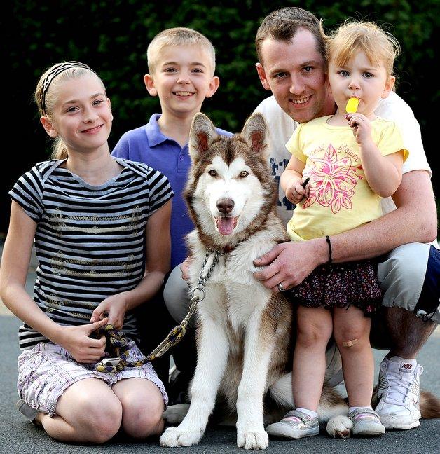 A two-year-old “squealed for joy” after builders found her family’s rare-breed pet dog which is believed to have been stolen. Georgina Russell was devastated along with sister, Katie, 11, brother Joshua, eight, and mum Michaela, when Samson went mis