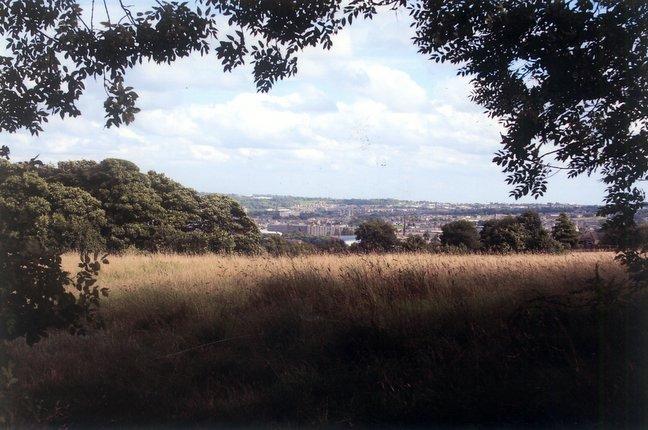 A view from Allerton, taken by G Sutton, of Bronshill Grove, Allerton, Bradford.