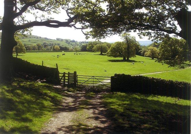 Fields near Bolton Abbey, taken by Chris Bristow, of Birchway, West Bowling, Bradford.