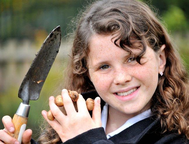 Children are doing their bit to help a worldwide campaign to eradicate polio.
Yeadon Westfield School pupils, including Josie Barber, have planted 1,000 purple crocuses to help to publicise the Rotary campaign to banish the disease to the history books.