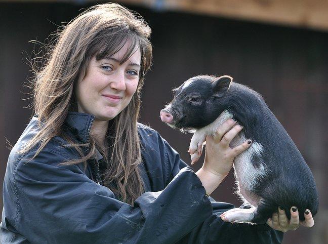 Meet the newest residents of St Leonard’s Farm Park, Esholt, who will be stealing the hearts of visitors over the half-term holiday. 
Micro pigs Bonnie and Clyde are seven and eight weeks old and come from two breeders in Lincolnshire. 
