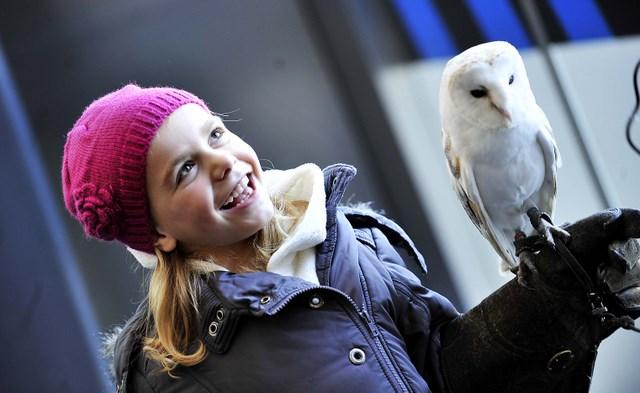 The National Media Museum has been celebrating the launch of the latest IMAX 3D movie, Legends of the Guardians: The Owls of Ga’Hoole, with live falconry and face painting. 
Bramley the barn owl and friends met five-year-old Livia Meadow.