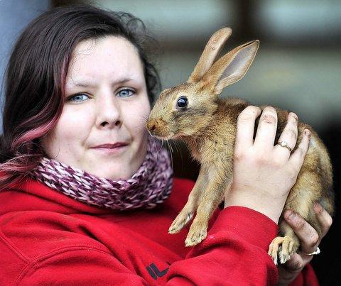 Staff at an inner-city farm are celebrating a new arrival. 
This baby hare is the newest inhabitant at Prism City Farm in Walker Drive, Girlington. 