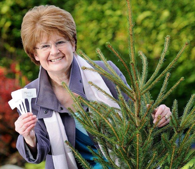 A Christmas tree dedicated to the memory of lost loved ones has been planted in Ilkley. 
Installed by Marie Curie Cancer Care Ilkley support group, the memorial will be the focus for a new ‘lights to remember’ event on The Grove on Saturday, December