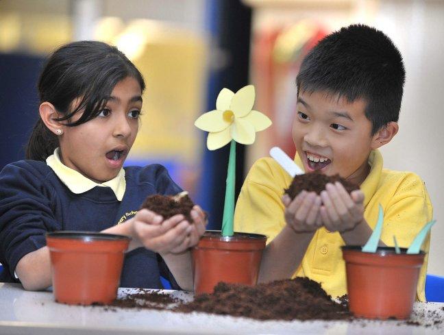 Schoolchildren have sown the seeds for a yellow flourish of flowers come springtime – and all in the name of charity.
Sarah Ali and Phong Hoang were among pupils  at Princeville Primary School who planted 135 daffodil bulbs in the school grounds.