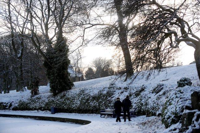 Snow in Lister Park, Bradford.