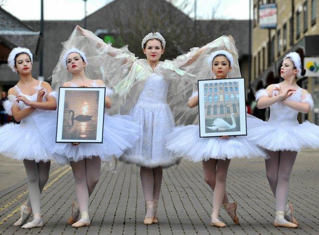 Shipley shoppers were today treated to a performance of Swan Lake at the opening of a new exhibition focusing on swans by photographer Andrew McCaren. 
His images went on display at Shipley Focus’d Photographic Art Gallery, 