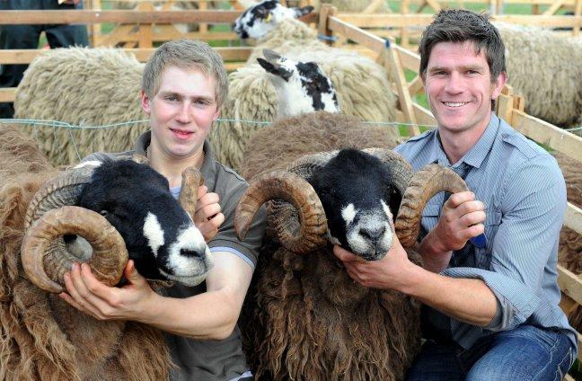 Josh Ryder and Richard Wilson with their Dales Bred sheep.