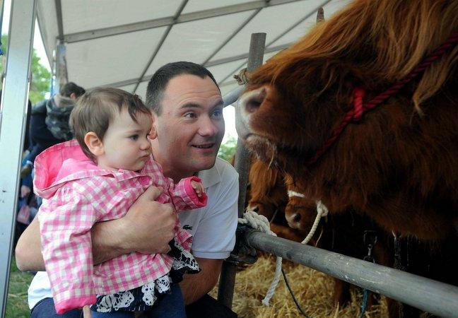 Matthew Donohoe and his daughter Isabelle, ten months, get up close and personal with some highland cattle.