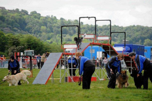 The Rockwood Dog Display Team in the main ring.