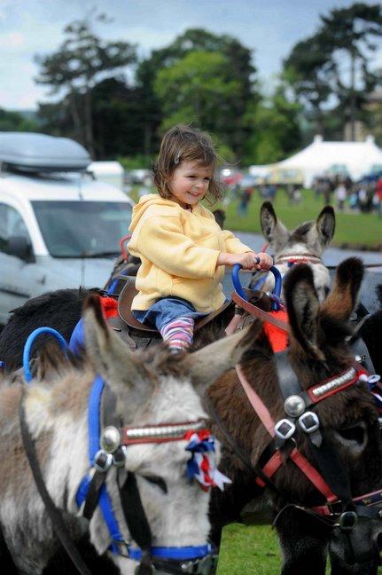 Isabella Gardiner, 3, takes a donkey ride.