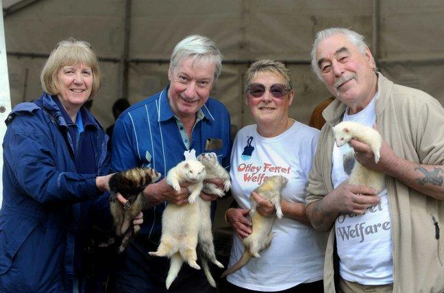 Sandi and Graham Read from Safe House Ferret Welfare and Jackie and Dave Turner from Otley Ferret Welfare.