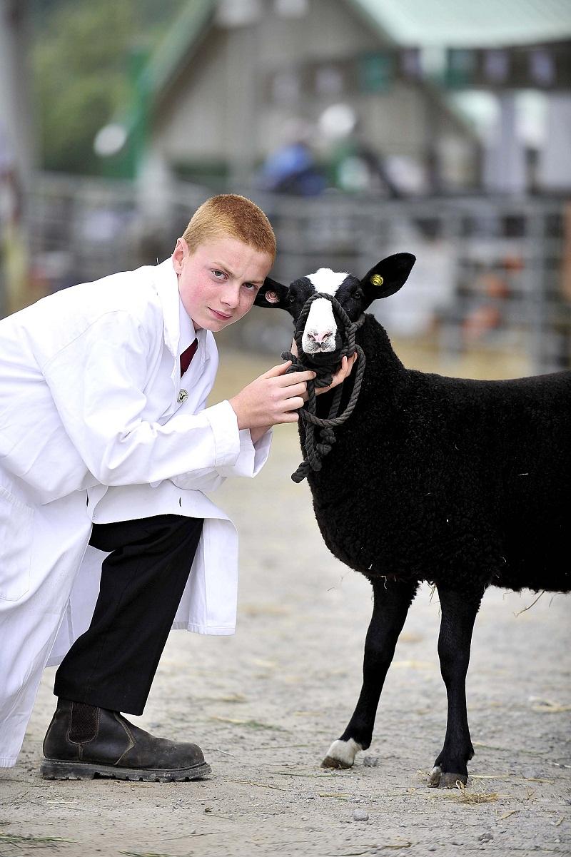 The Great Yorkshire Show got off to a good start Pictured is 12 year-old Harry Preston with Greenhill Tamara.