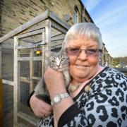 Bradford cat rescue 'on verge of collapse' issues warning if attitudes don't change