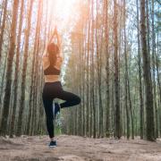 Beautiful Asian young woman standing and doing yoga in forest. Exercise and meditation concept. Pay obeisance or raise hand concept. Pine wood in summer theme. Back view.